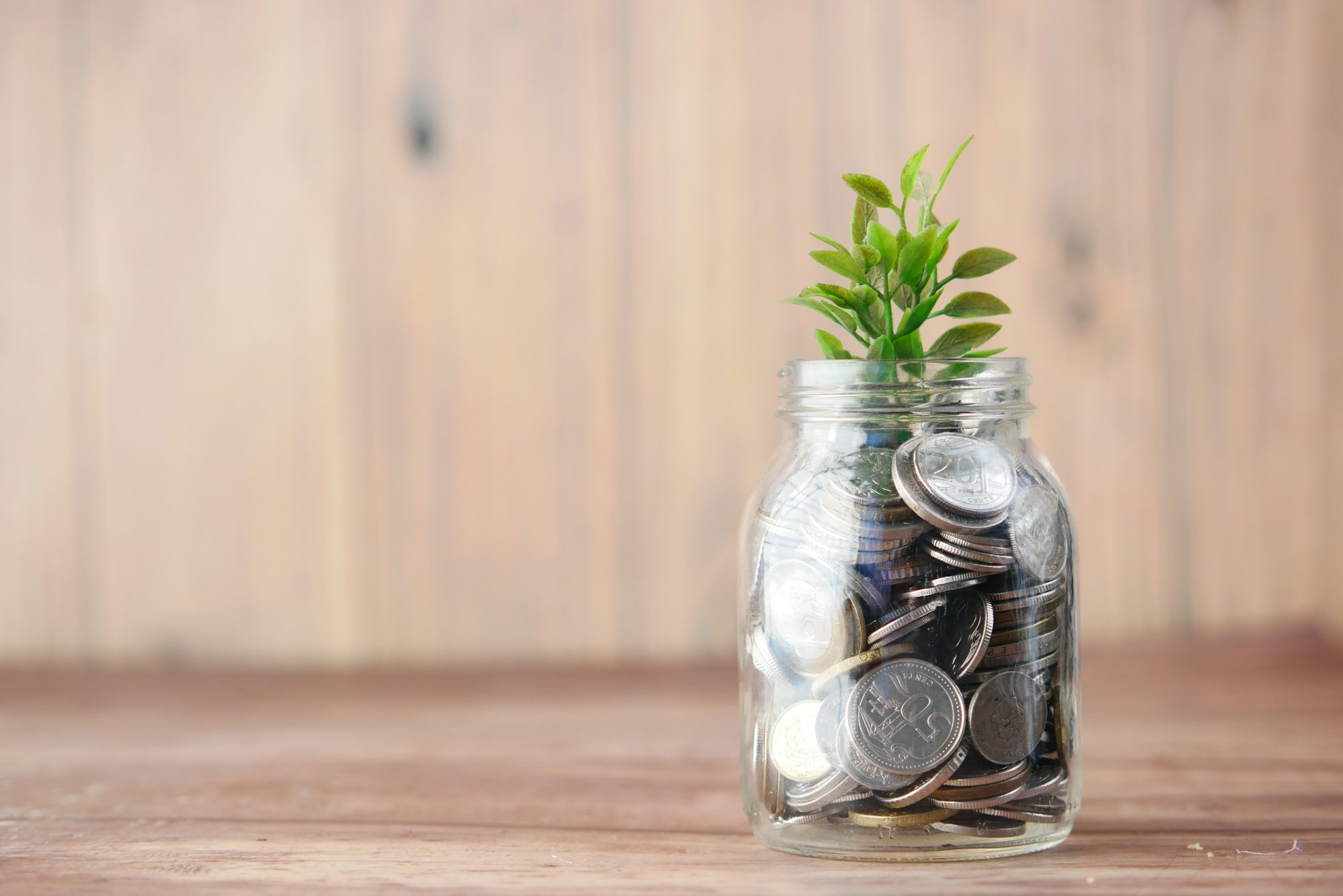 A glass jar filled with coins and a growing plant representing sustainable business growth